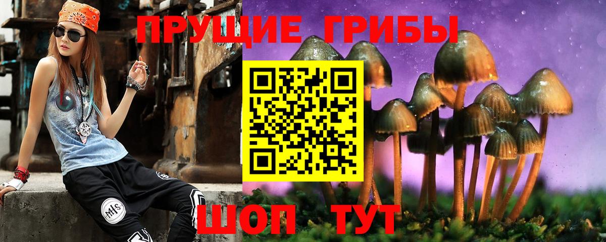 Псилоцибиновые грибы Psilocybine cubensis Советский