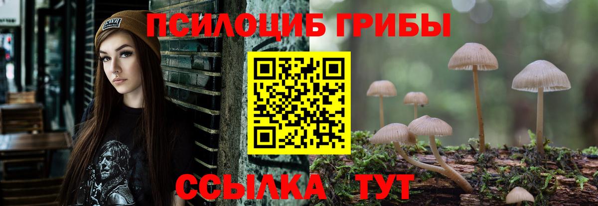 Советский  Псилоцибиновые грибы Psilocybine cubensis  Вход с VPN  где продают наркотики  Галлюциногенные грибы ЛСД 